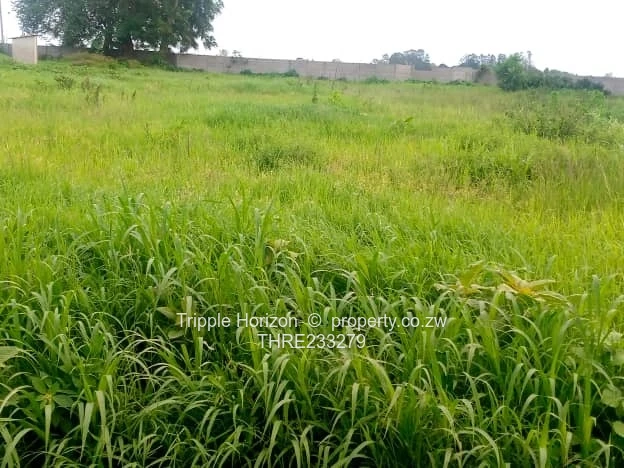 Goodhope Stand For Sale