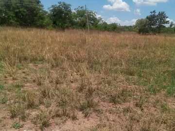 Farm & Agricultural Land