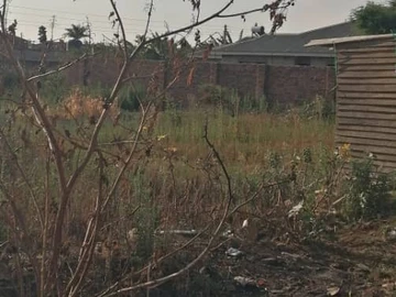 Stands & Residential Land