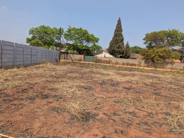 Stands & Residential Land