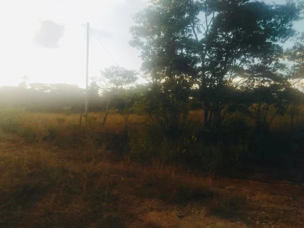 Farm & Agricultural Land