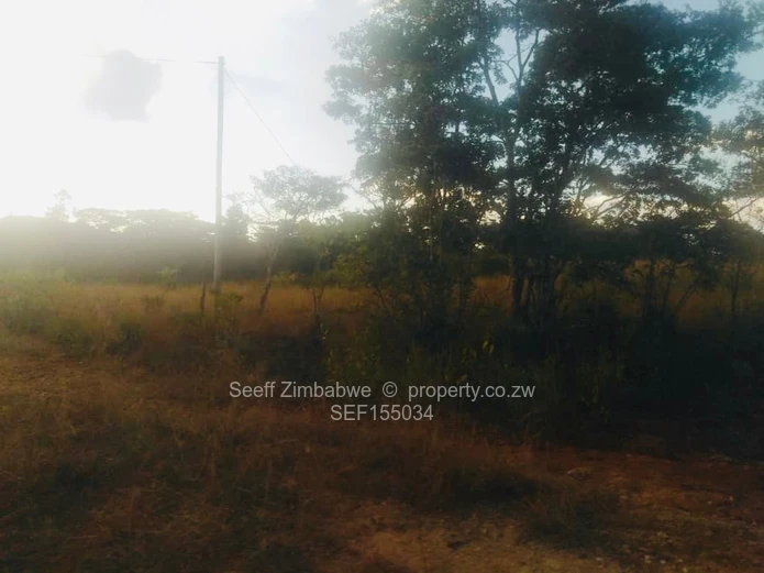 Experience The Nyanga Lifestyle, In Nature's Luxury