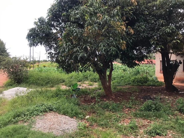 Stands & Residential Land