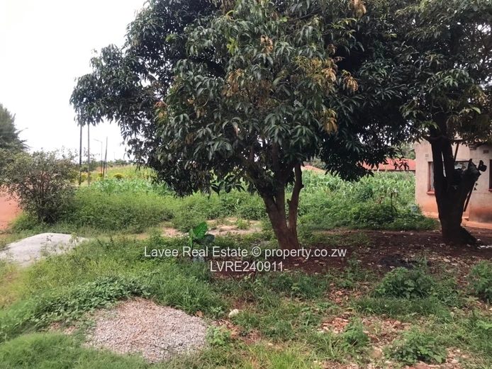 Space, Serenity, and Suburban Bliss on 3,100sqm in Mount Pleasant Heights