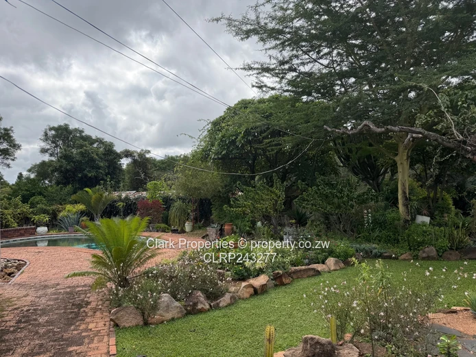 Excellent Investment 