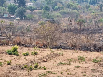 Farm & Agricultural Land