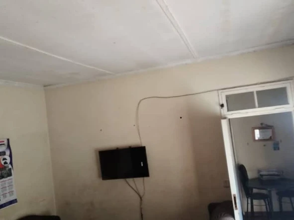 Flat & Apartment