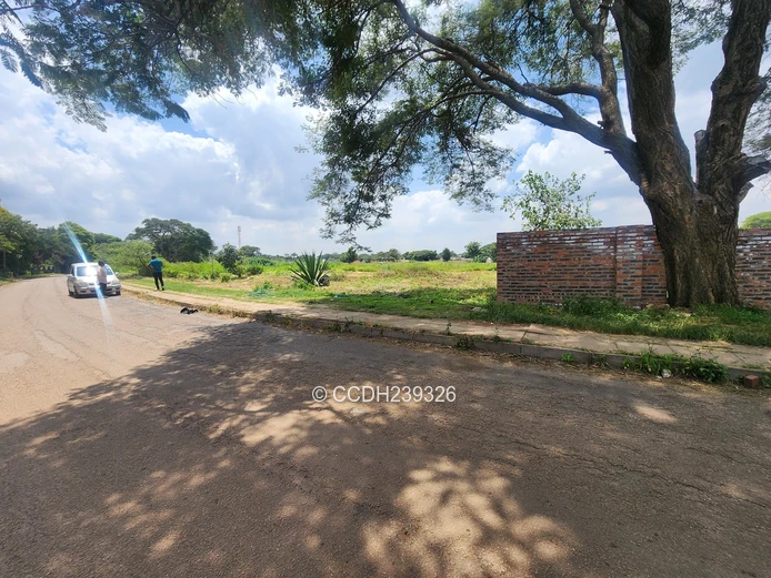 Bluffhill Infill Stands For Sale (Sole Mandate)