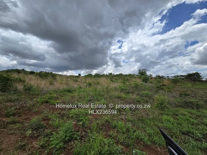 Strategic Heavy Industrial Stand 