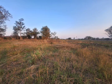 Stands & Residential Land