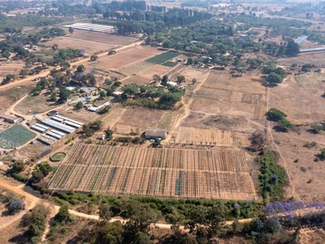6.25H Of Agro Residential Land In Ruwa