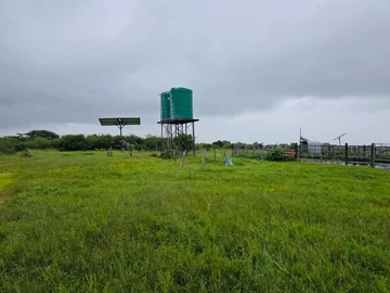 Farm & Agricultural Land