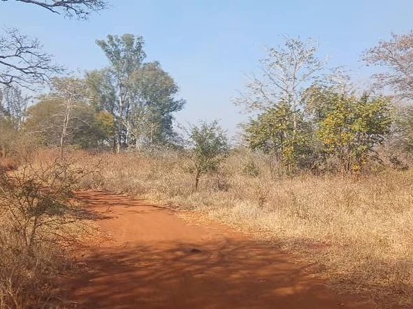 Farm & Agricultural Land