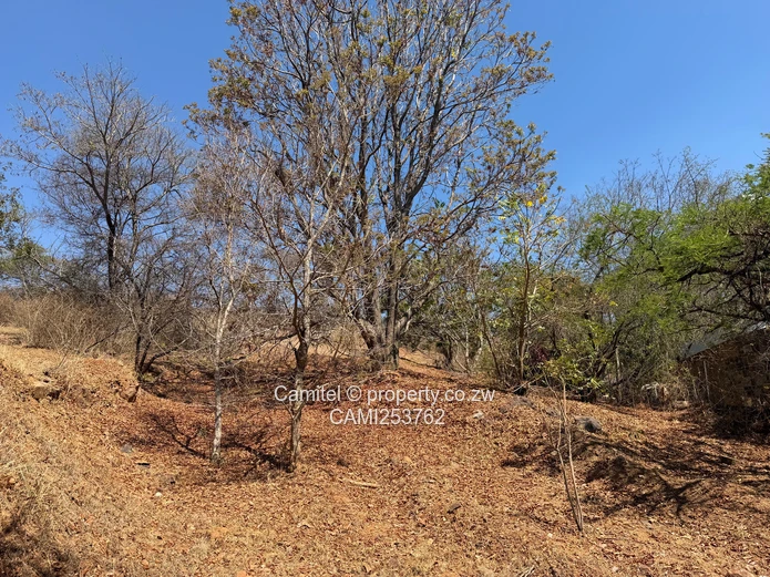 6005 sqm Stand, Borrowdale Brooke inside the boom gateTarred, Tree-Lined Main Road