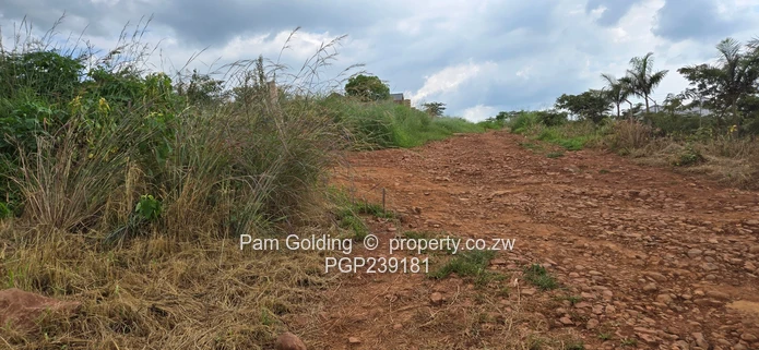 Spacious residential stand near the gold