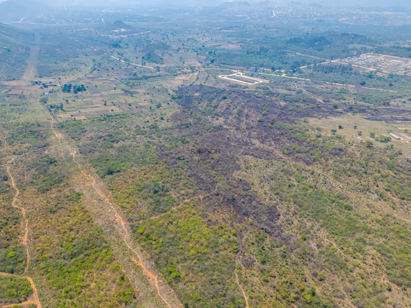 Farm & Agricultural Land