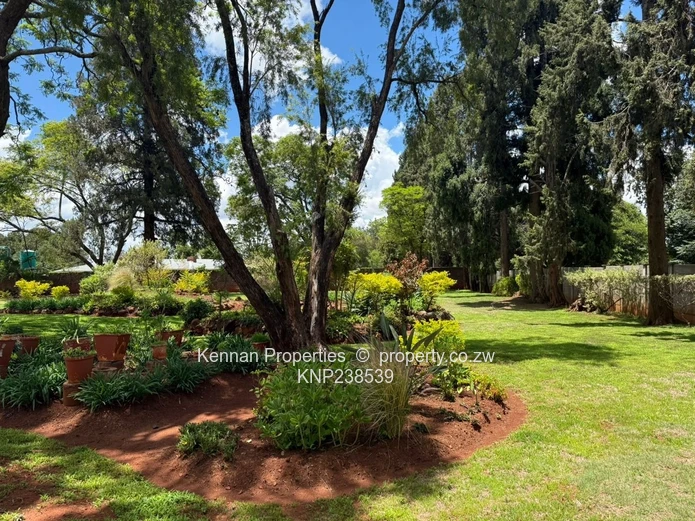 Prime 2-Acre Corner Property!!!!!! (Sole Mandate)