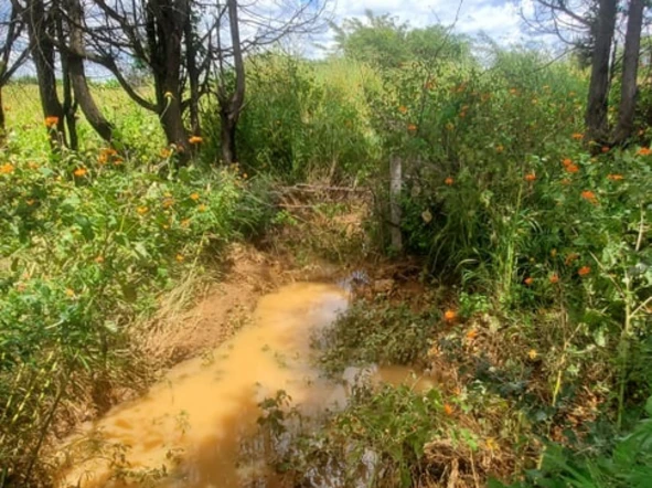 Farm & Agricultural Land