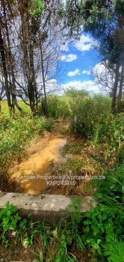 5 Acres Central Gweru With Deeds!