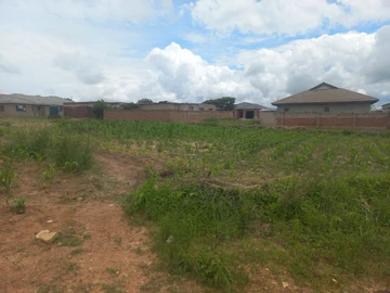 Stands & Residential Land