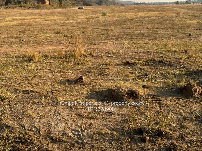 Plot To Let, Zesa And Dam