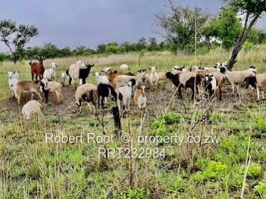 Unlock your faming potential in Beatrice