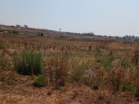 Farm & Agricultural Land