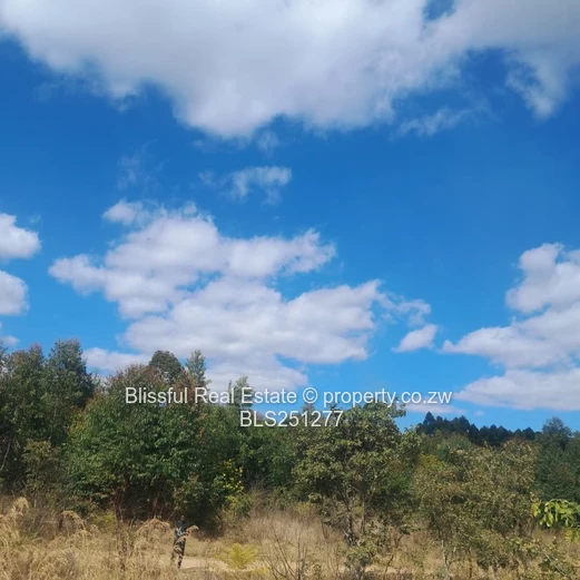 PRIME 2000m² SERVICE STATION STAND - HARARE-MUTARE Highway 
