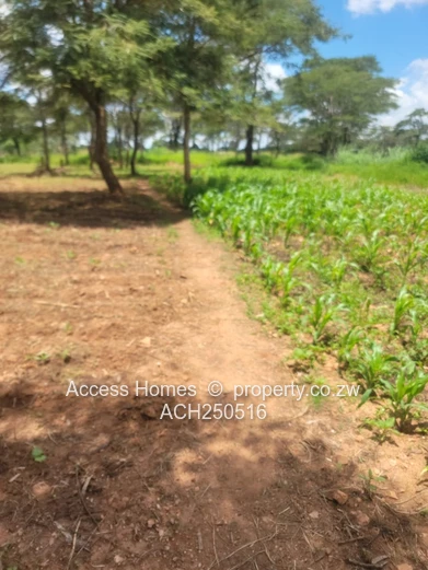 Glenforest agro residential plot 