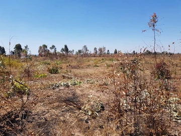 Commercial & Industrial Land