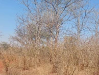 Farm & Agricultural Land