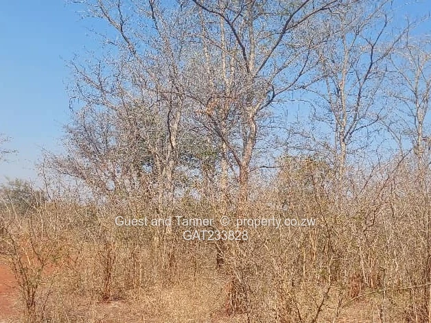 Plot For Sale In Norton