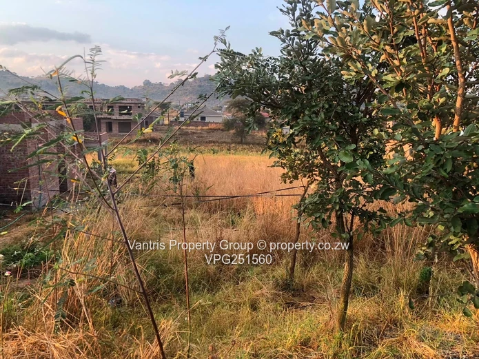 Palm village stands for sale !!!!