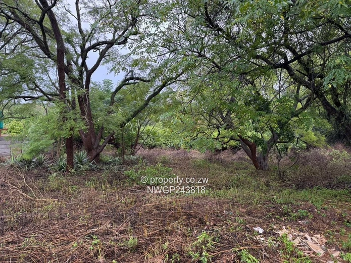 Prime Investment Opportunity in Hillside South – Spacious 3-Bedroom Home on 3,600sqm with Renovation