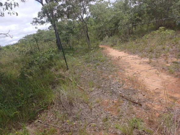 Farm & Agricultural Land