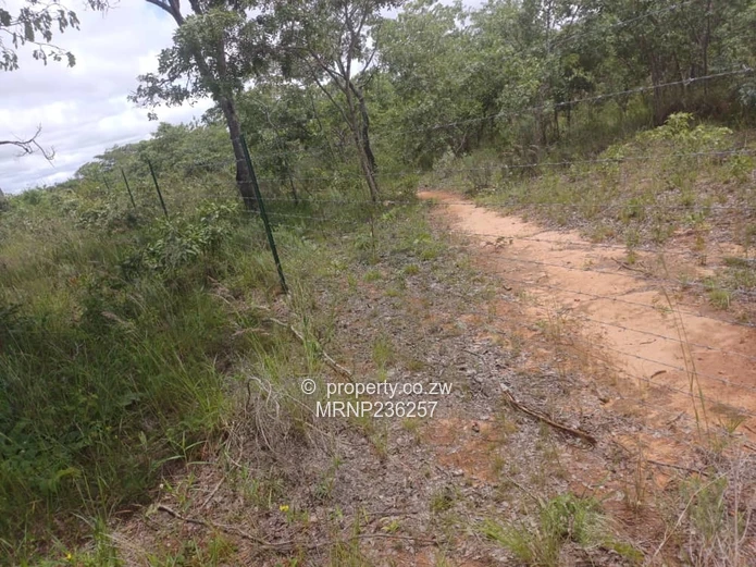 Headlands EagleNest Plot for sale (Sole Mandate)