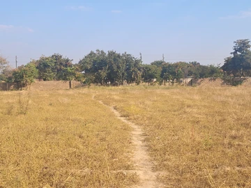 Farm & Agricultural Land