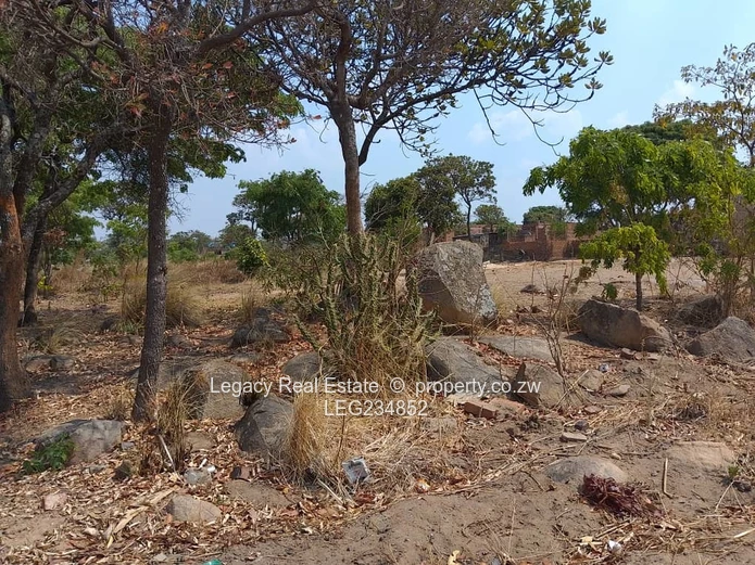 Crowhill 1300sqm Stand – Affordable Deal with Full Paperwork!