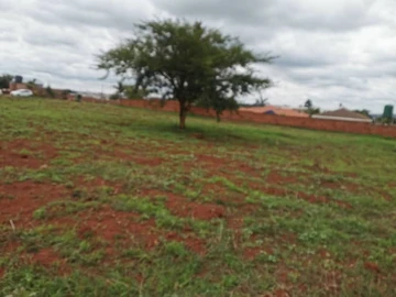 Stands & Residential Land