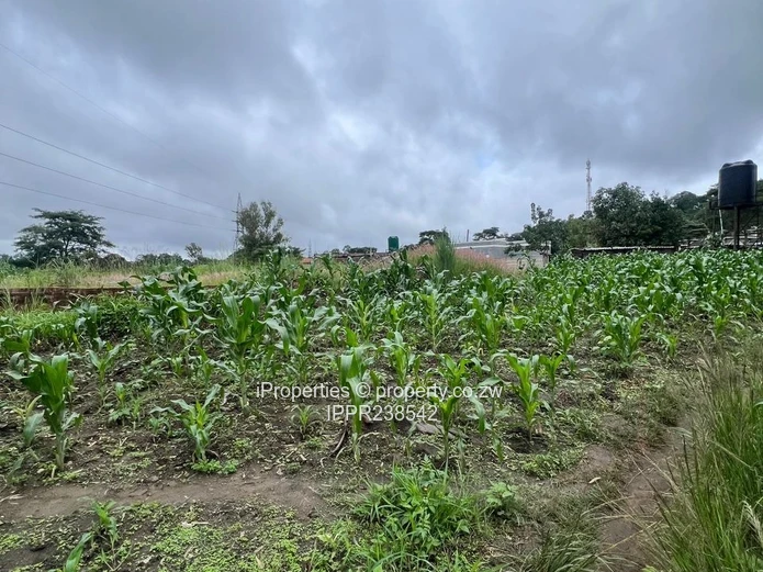 3,300sqm Stand with Title Deeds and Serviced 3-Bedroom Cottage