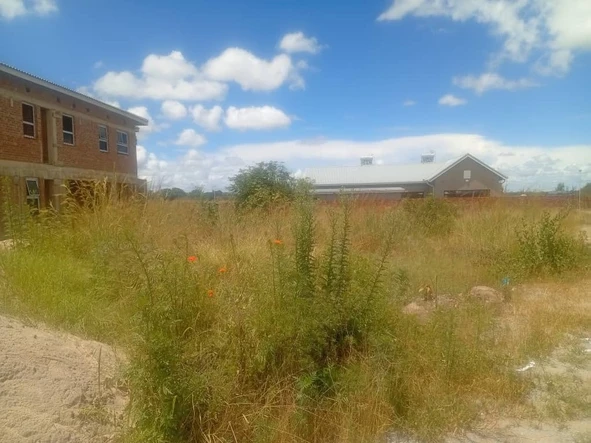 Stands & Residential Land