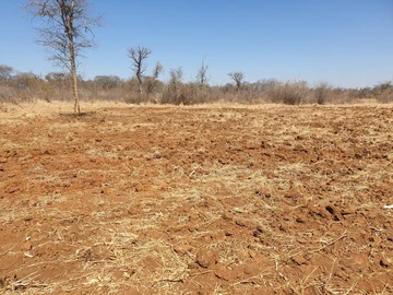 Farm & Agricultural Land