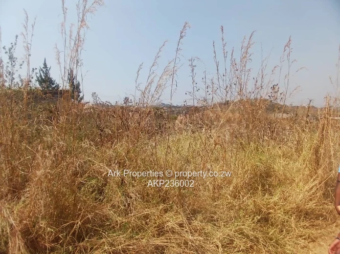 Stand in Charlotte Brooke 