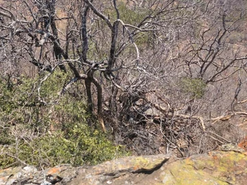 Farm & Agricultural Land