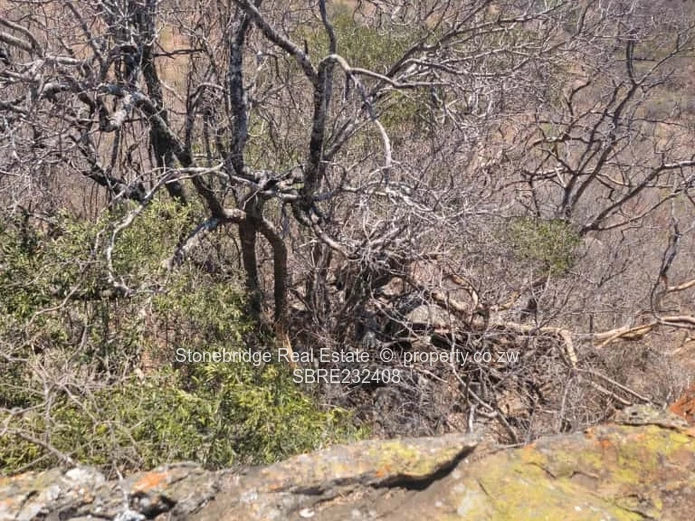 Prime Land for sale in Esigodini