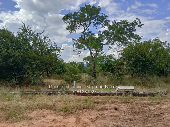 Low-Density Residential Stand for Sale – Near Zambezi River & Victoria Falls