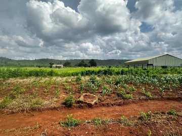 Farm & Agricultural Land