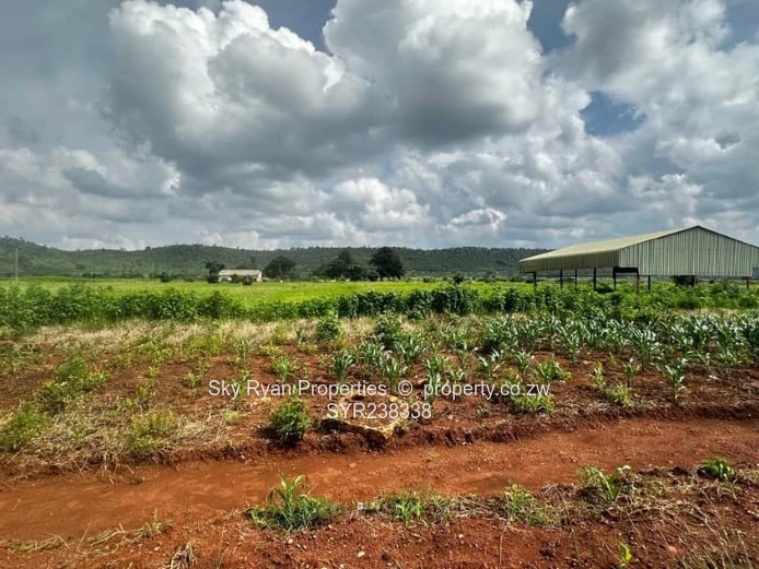 Kintyre Area, Norton Land For Sale