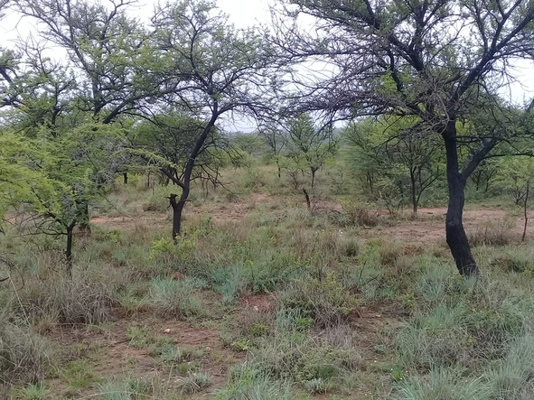 Farm & Agricultural Land