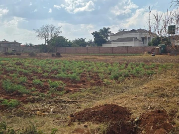 Stands & Residential Land